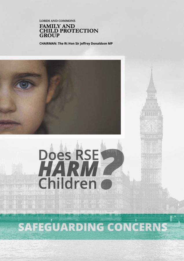 Lords and Commons Family and Child Protection Group document